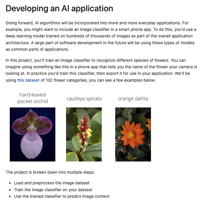 Flower Image Classifier